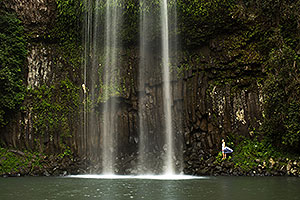 Atherton Tablelands Cairns Waterfall Tour